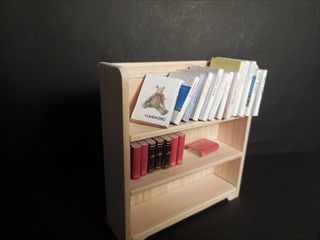 bookshelf (12)